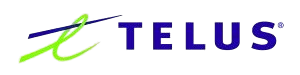 Sponsor 7